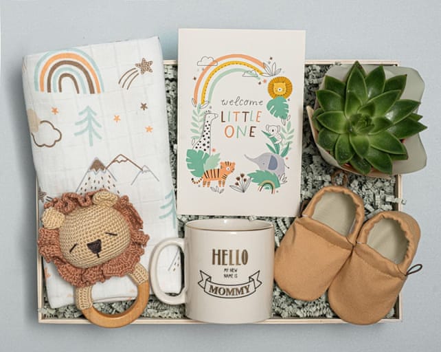 Aslancık Bebek Kutusu