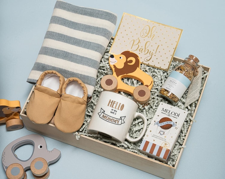 Aslanlı Erkek Bebek Kutusu