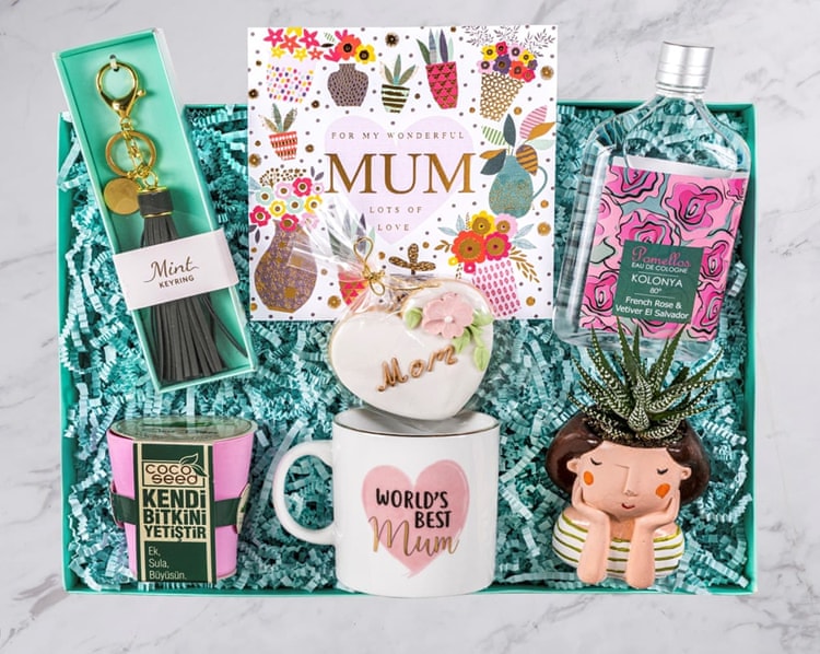 Bitki Sever Anneme Anneler Günü Hediye Kutusu