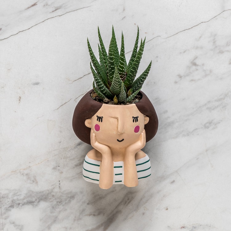 Bitki Sever Anneme Anneler Günü Hediye Kutusu