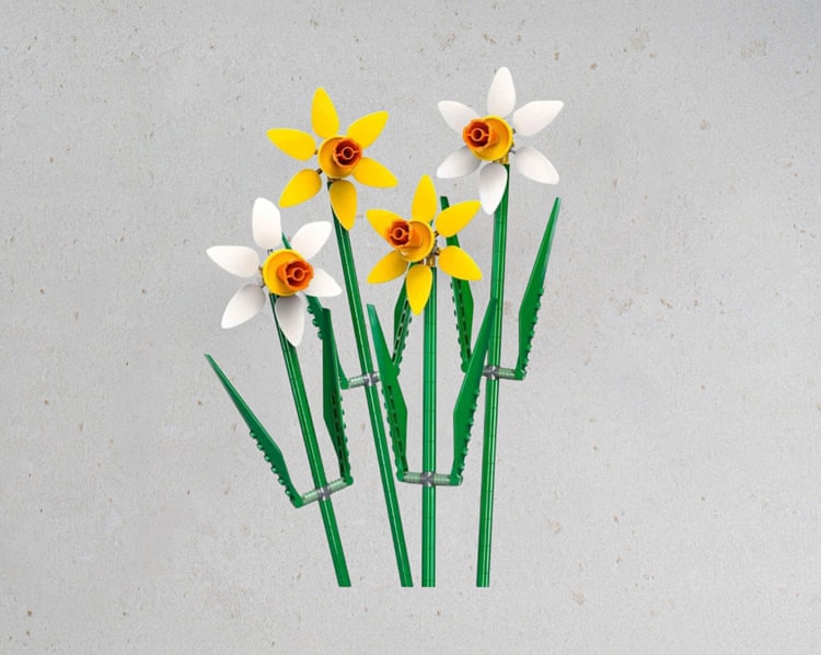 Good Day Hediye Kutusu