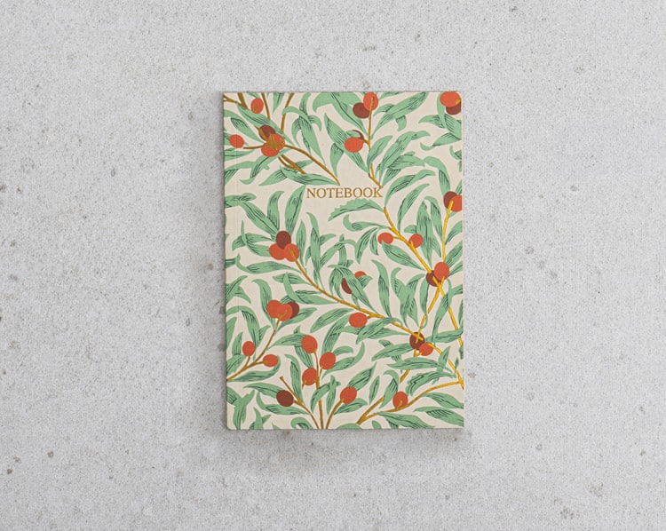 Turuncu Şans Hediye Kutusu